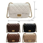 Sexy Dance Women Small Crossbody Bags Zipper PU Leather Handbag Ladies Chain Quilted Satchel Multi Pocket Purses White