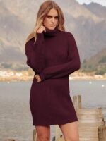 ANRABESS Women Oversized Sweater Dress Turtleneck Batwing Long Sleeve Ribbed Knit Loose 2024 Fall Winter Casual Short Dress