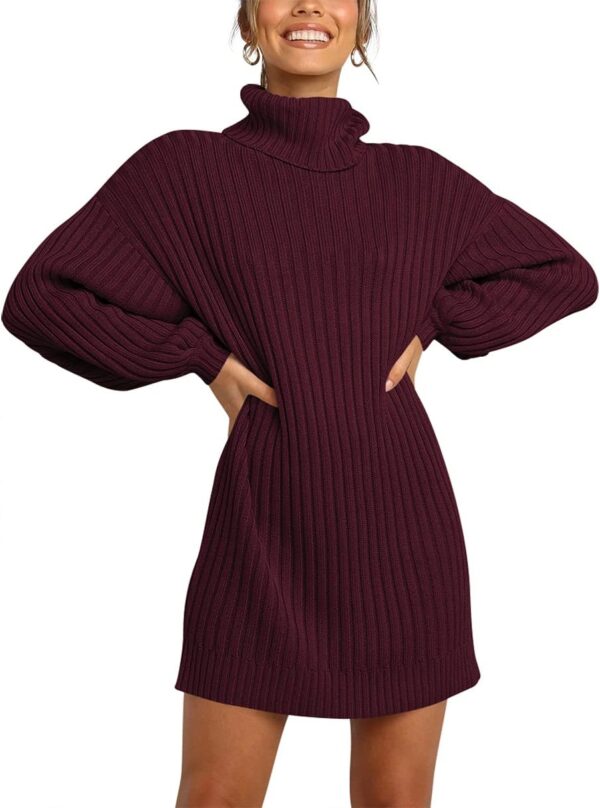 ANRABESS Women Oversized Sweater Dress Turtleneck Batwing Long Sleeve Ribbed Knit Loose 2024 Fall Winter Casual Short Dress