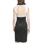 Calvin Klein Womens Black Cut-Out Colorblock Office Sheath Dress 14 BHFO 7489